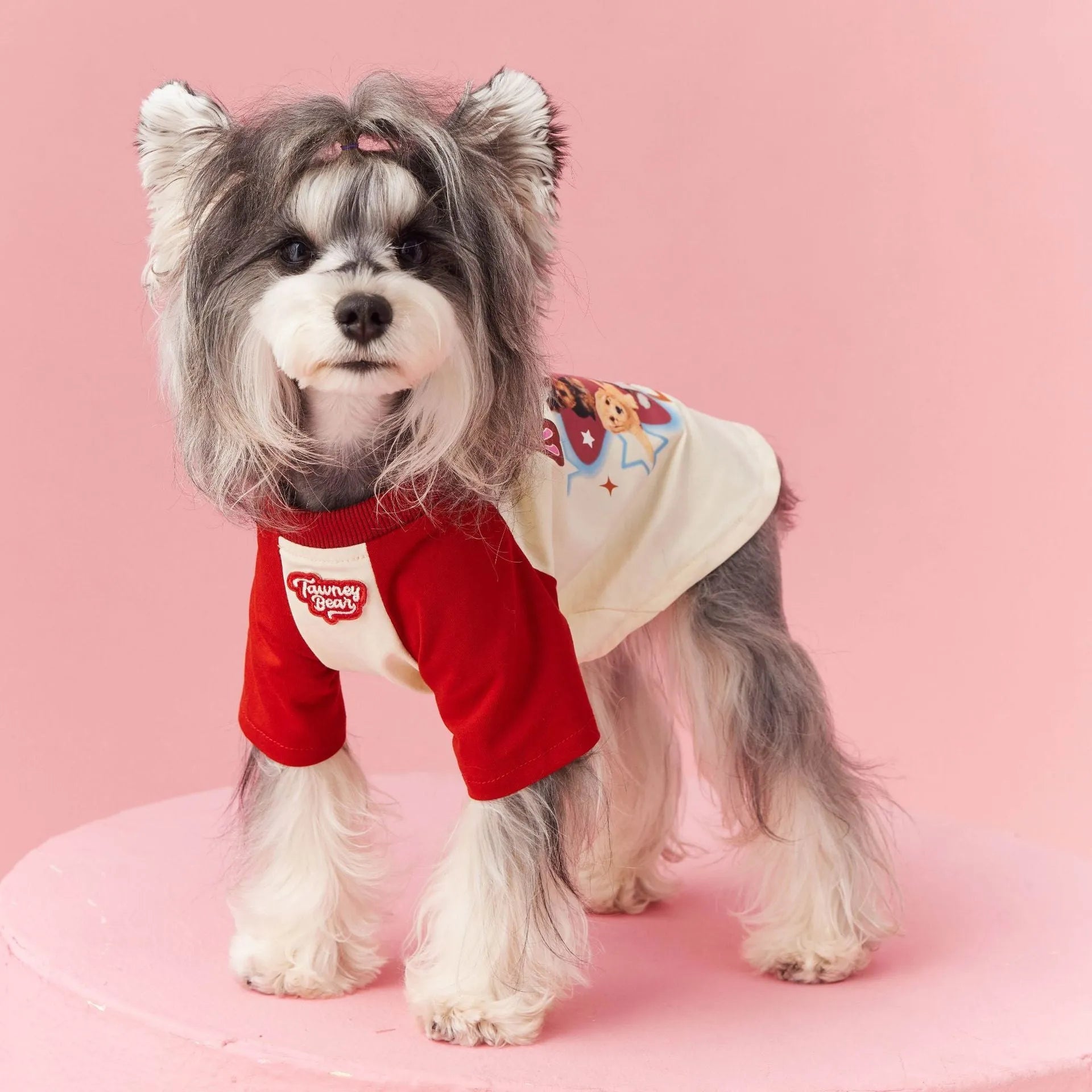 Red cotton dog summer clothes with contrast embroidery, laid flat showing size label.