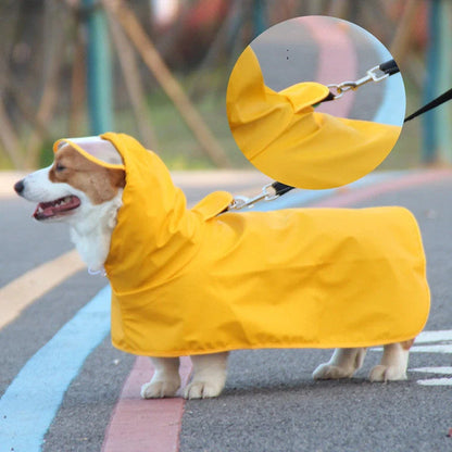 Dog wearing a yellow waterproof raincoat with a transparent brim and bellyband