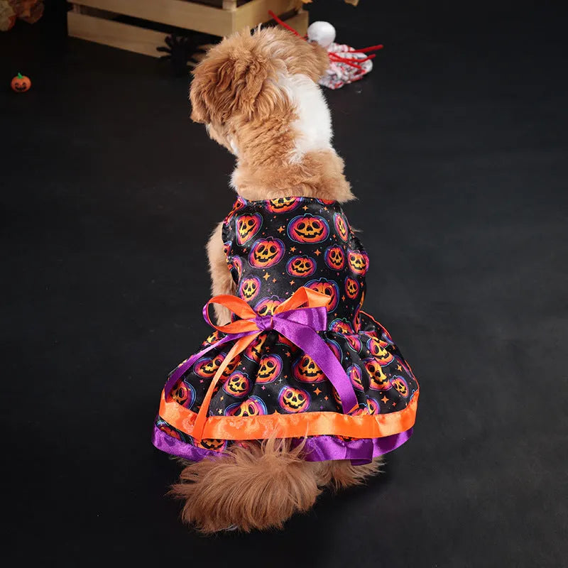 Halloween dog skirt with colourful pumpkin design, double-layer construction, elastic waistband on small dog