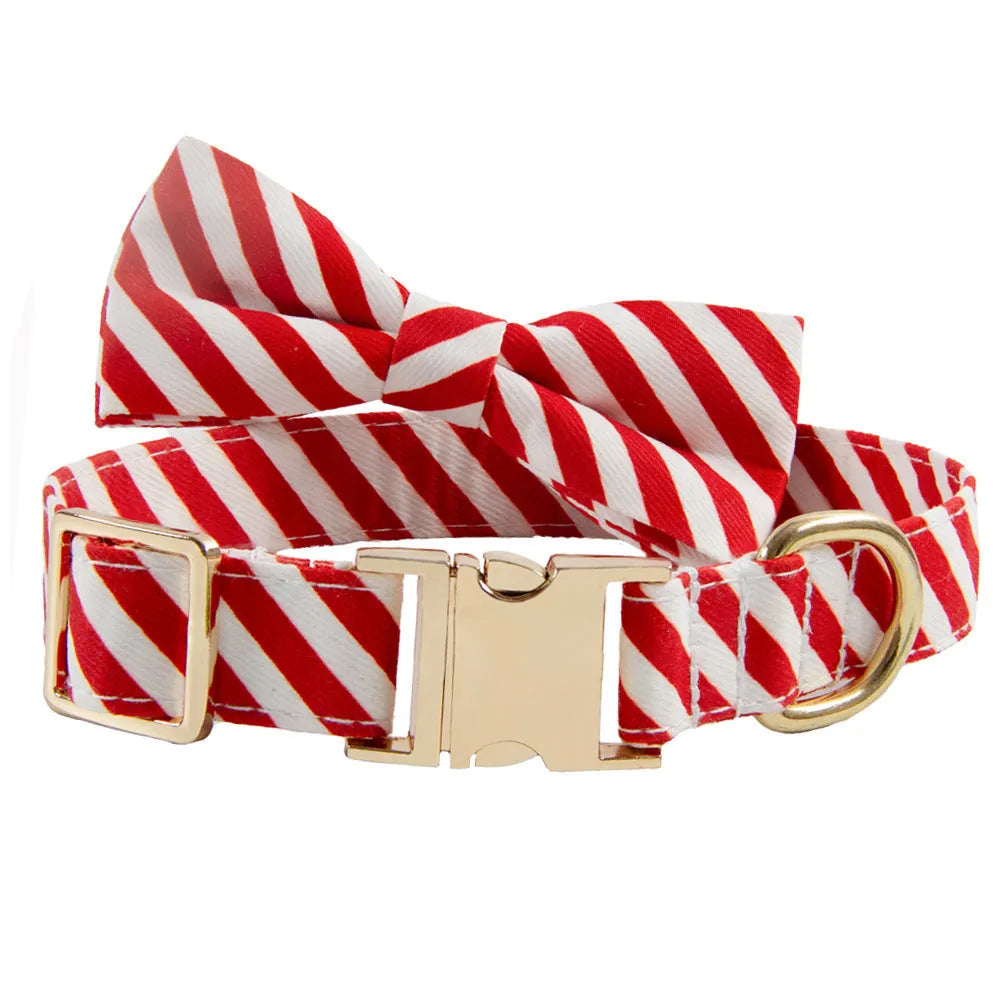 Striped personalised dog collar with engraved lettering in Candy Green colour with attached bow knot