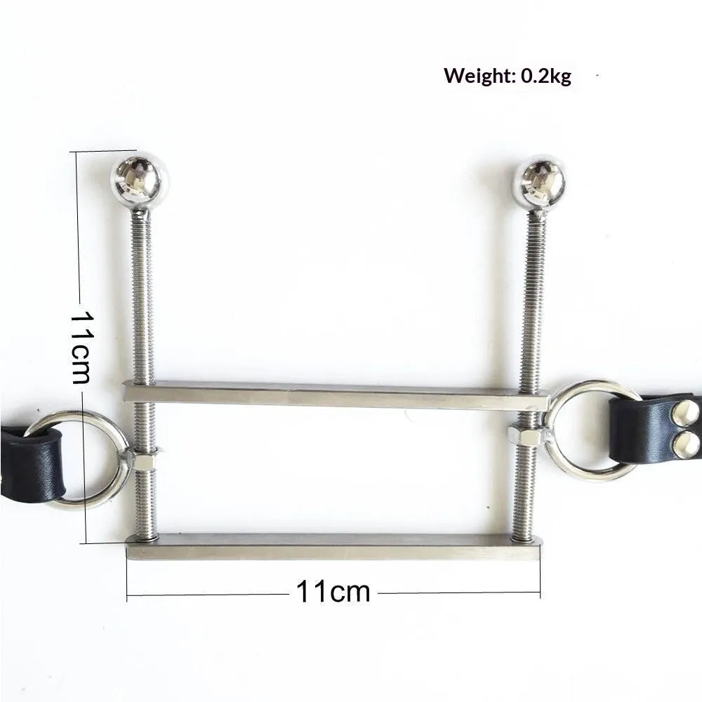 Stainless steel adult gag toy shown in black, pink, or red specification for role play use