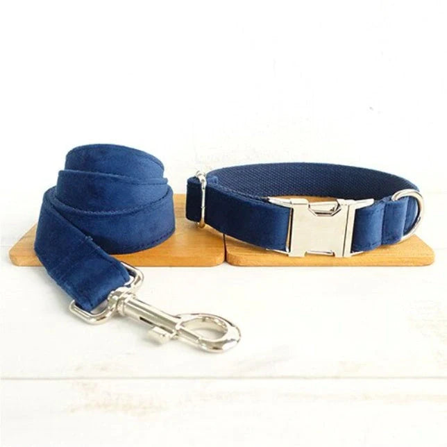 Dark blue velvet pet collar with optional bow tie and leash
