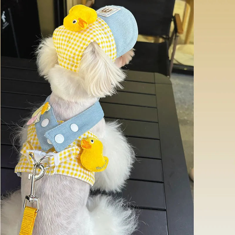 Pet wire rope pulling set showing harness, leash, and cute hat for a cat or dog.