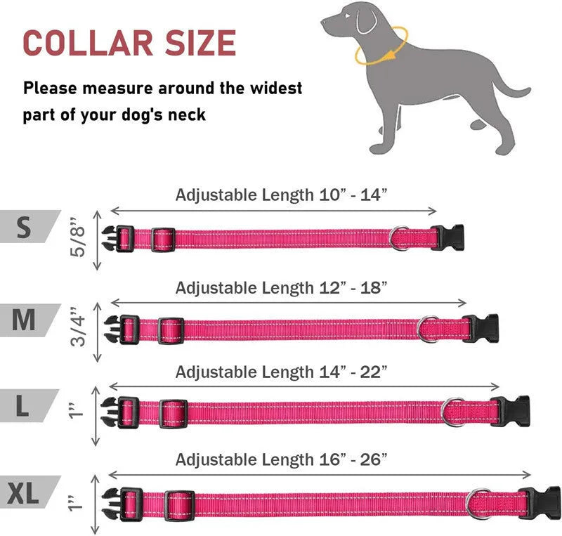 Nylon adjustable dog collar with chest strap in multiple colour options on a white background