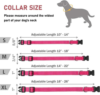 Nylon adjustable dog collar with chest strap in multiple colour options on a white background