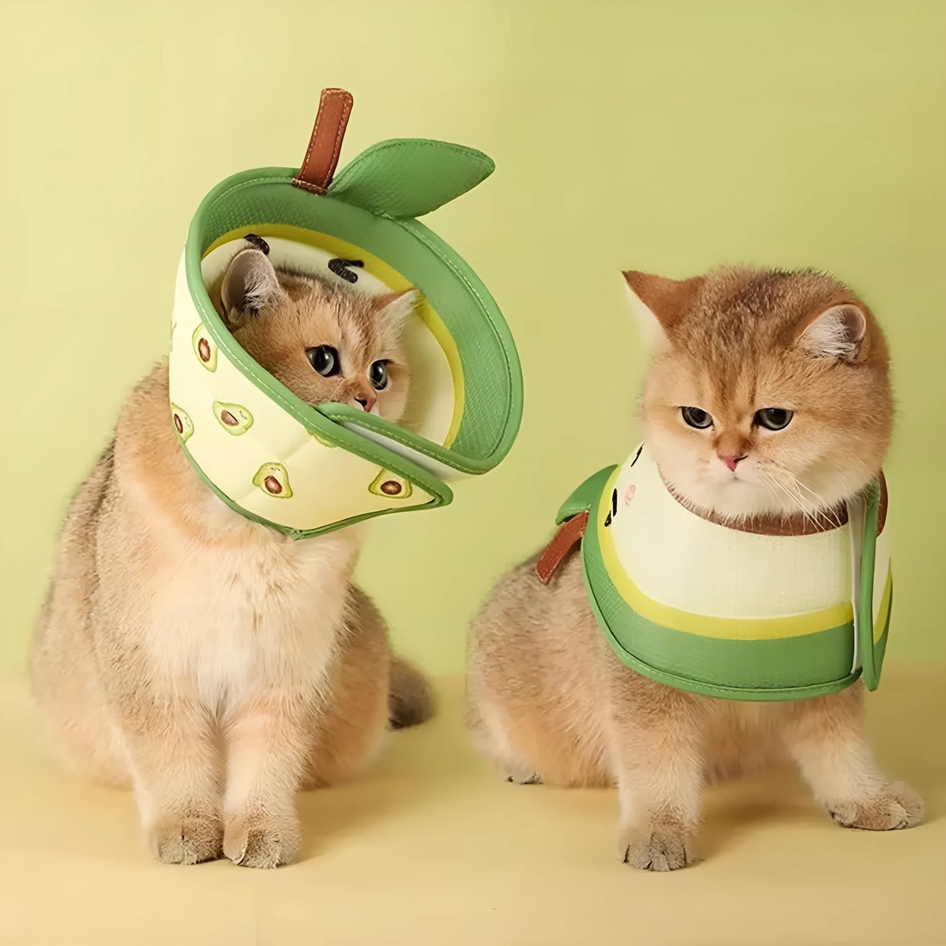 Soft beige EPE cat recovery cone collar with adjustable white strap, shown on a table.