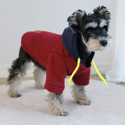 Simple dark red polyester dog hoodie with contrast colour detail, shown on a medium-sized dog.