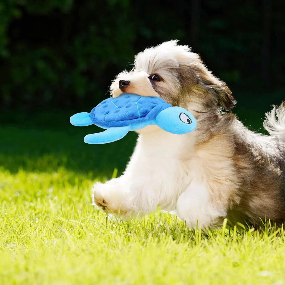 Blue sea turtle plush dog toy with squeaker, crinkle and rattle sounds for small dogs.