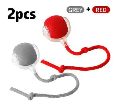 Interactive electronic cat toy ball with automatic rolling features on hardwood floor