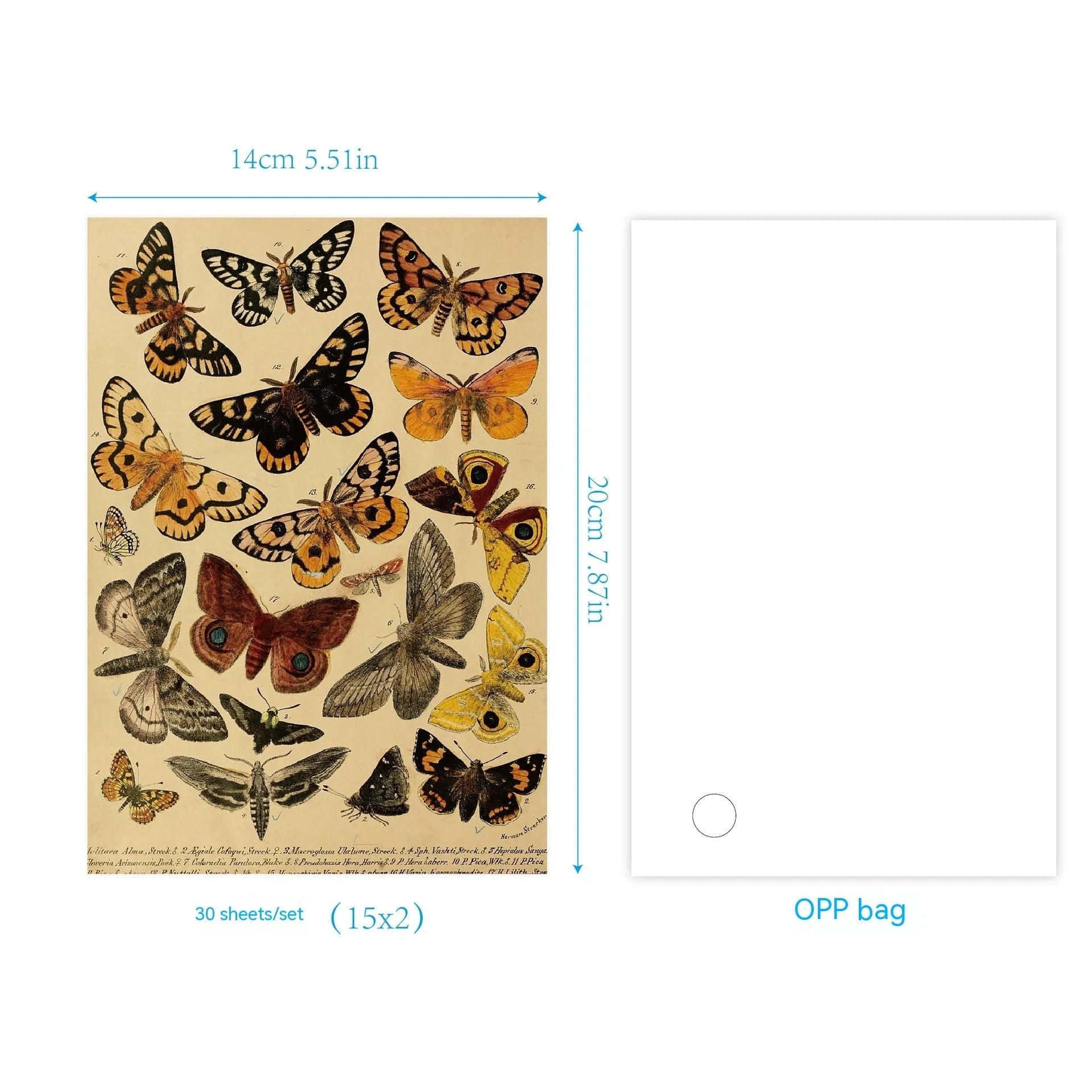 30 piece retro scrapbook paper set with botanical, flower, letter, recovery, starry night, and music prints