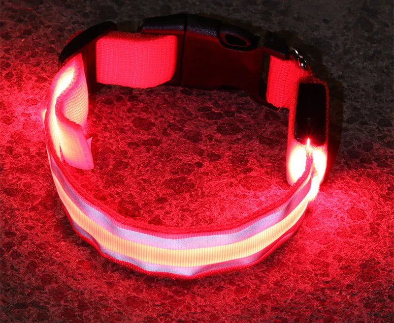 LED luminous dog collar with nylon webbing in multiple colour options showing illumination