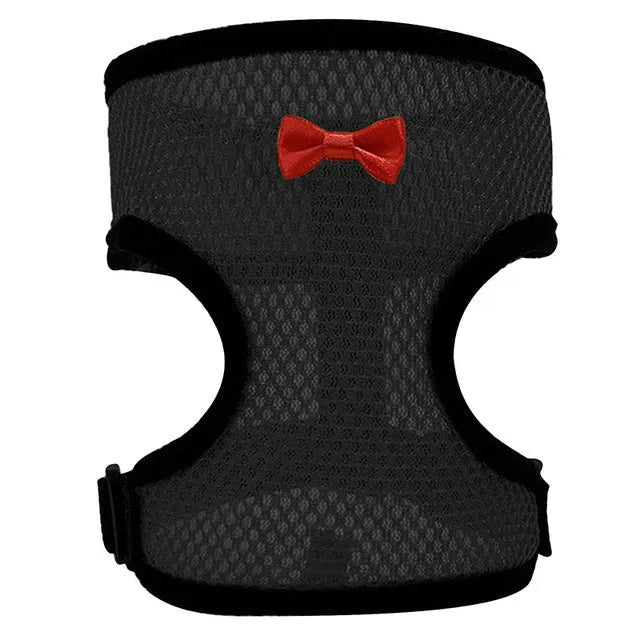 Poultry vest harness with matching collar and bow decoration for chickens and ducks