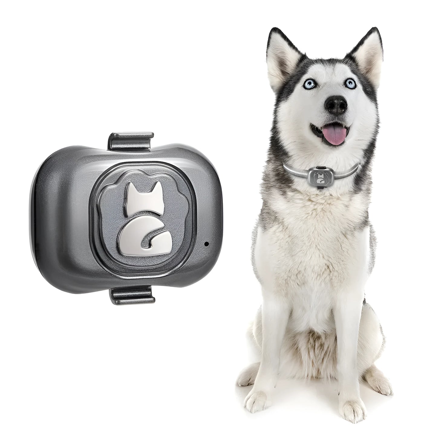 Black pet GPS tracker with hanging rope attachment and data cable