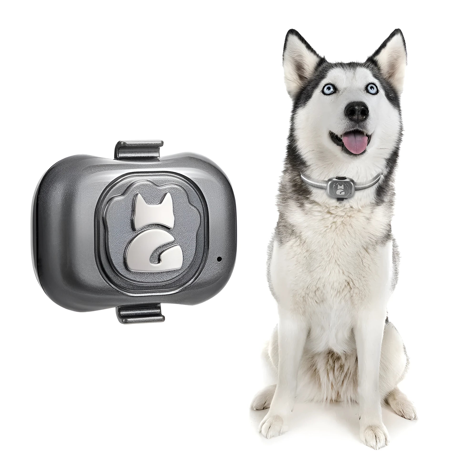 Black pet GPS tracker with hanging rope attachment and data cable