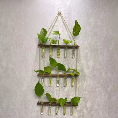 Creative Hydroponics Wall Hanging Vase with 15 test tubes in a wooden frame