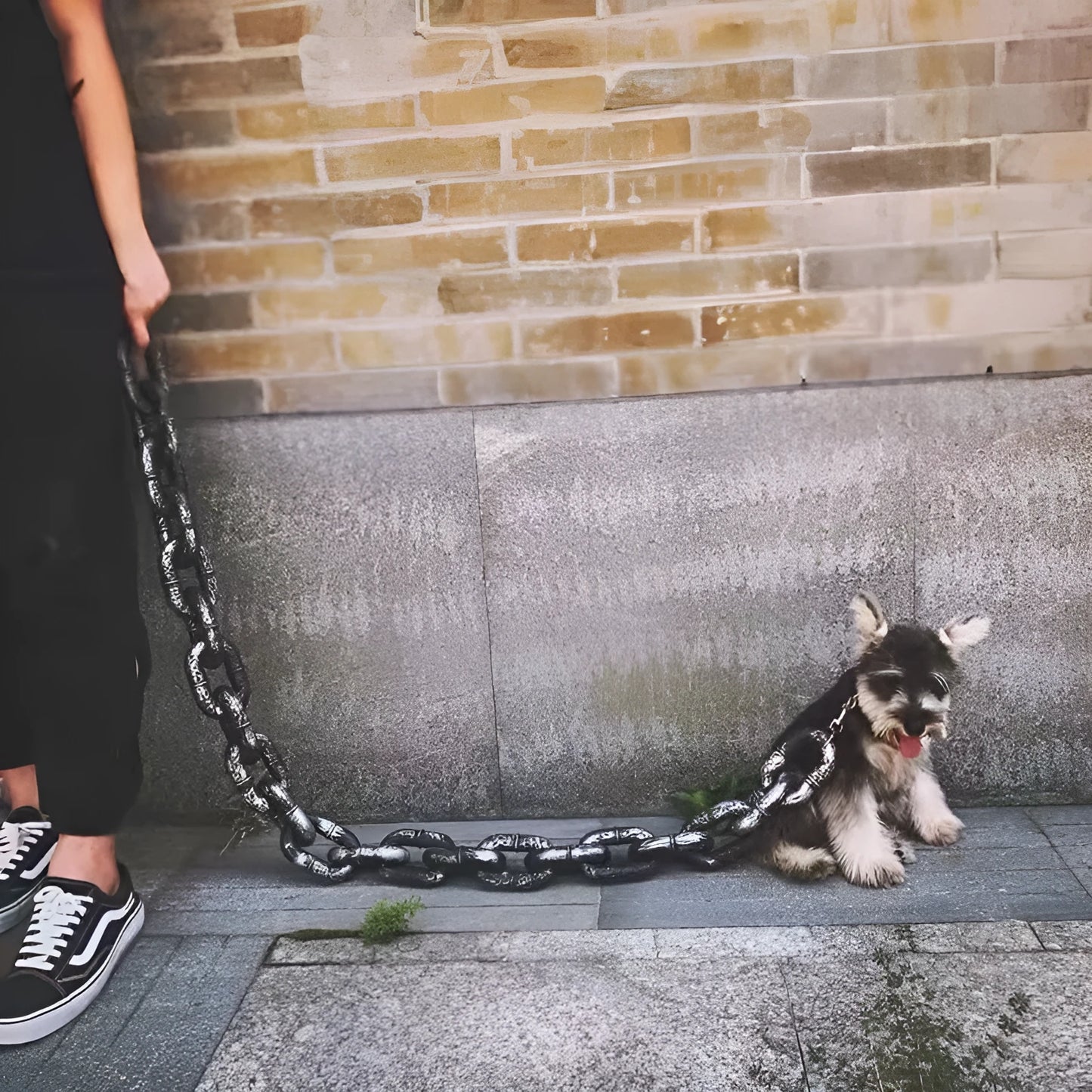 PP plastic dog leash in bronze, antique silver, or black with 1.5 m, 2 m, 3 m lengths and large or medium sizes for pets and video props