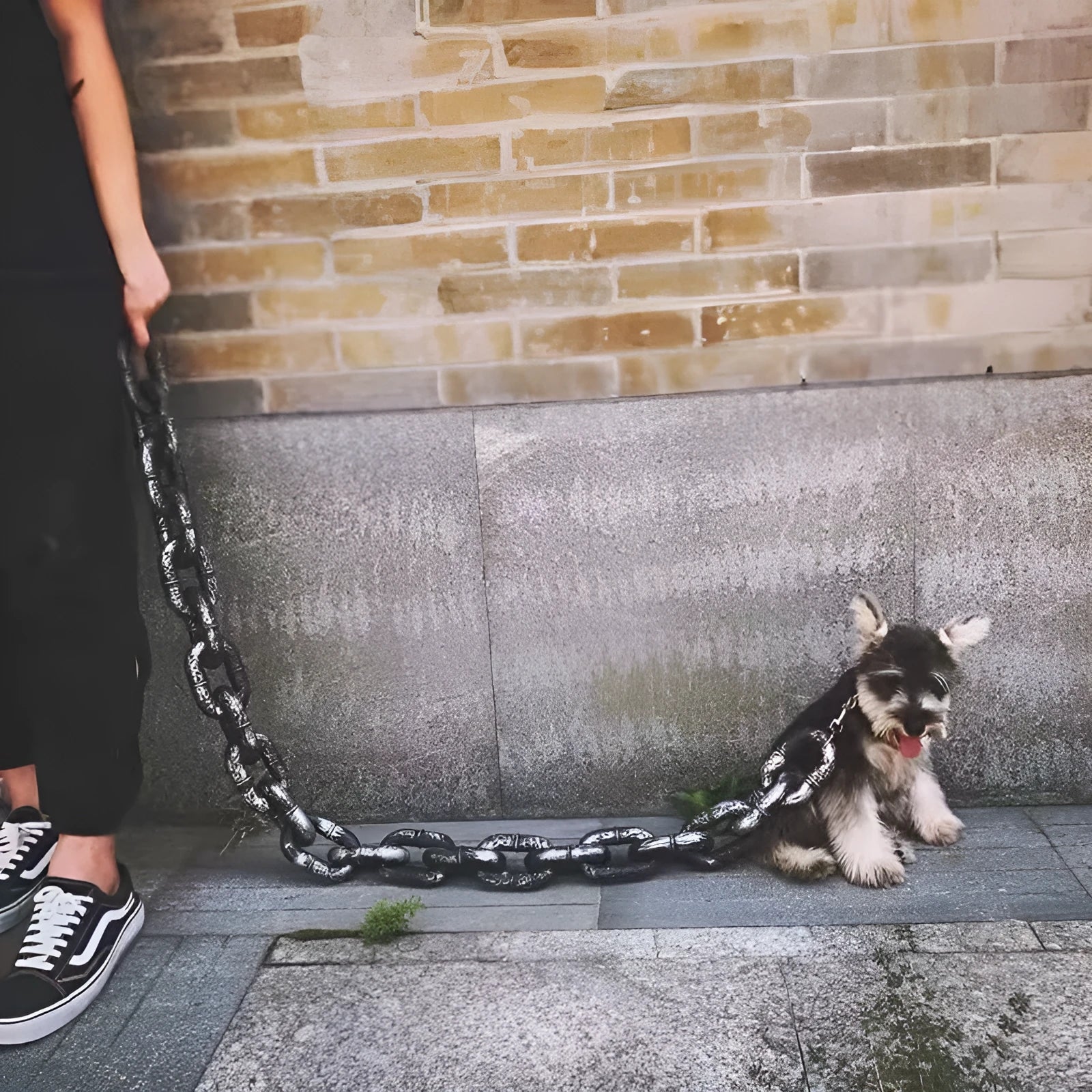 PP plastic dog leash in bronze, antique silver, or black with 1.5 m, 2 m, 3 m lengths and large or medium sizes for pets and video props
