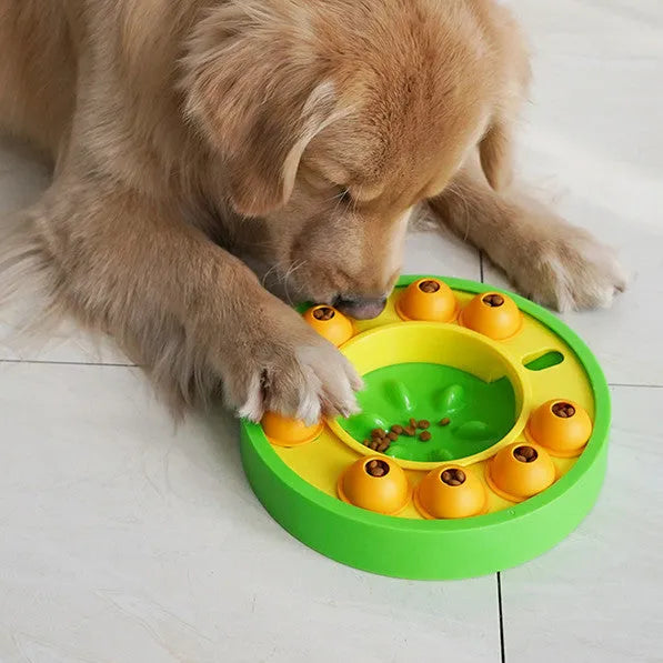 Square lake blue dog puzzle feeder with central column and rotating roulette top on a kitchen floor