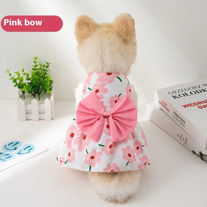 An orange floral butterfly knot princess dress for a small dog on a summer day.