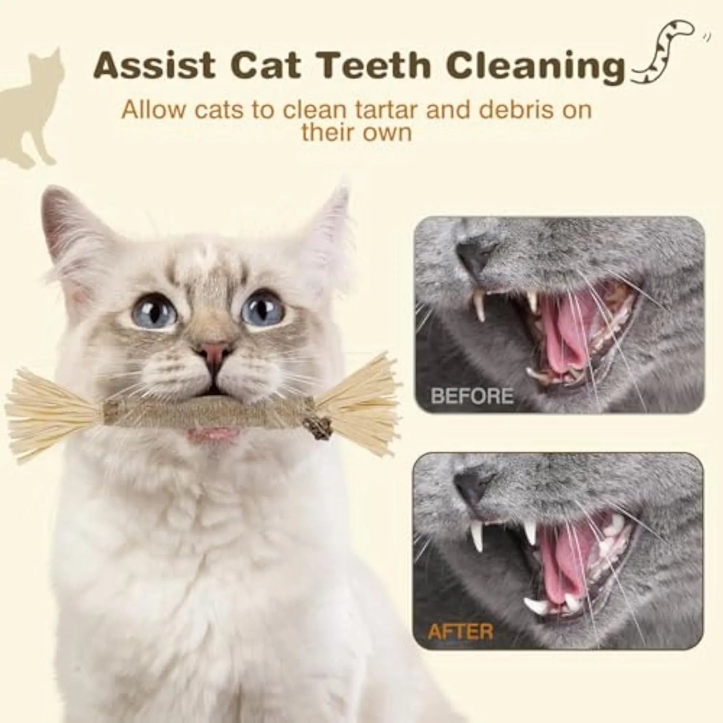 Natural silvervine chew sticks for cats with sisal rope for dental care, showing thick and fine diameter options