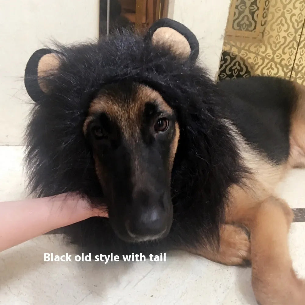 Dog wearing a lion mane headdress costume in light brown with an elastic neckband.