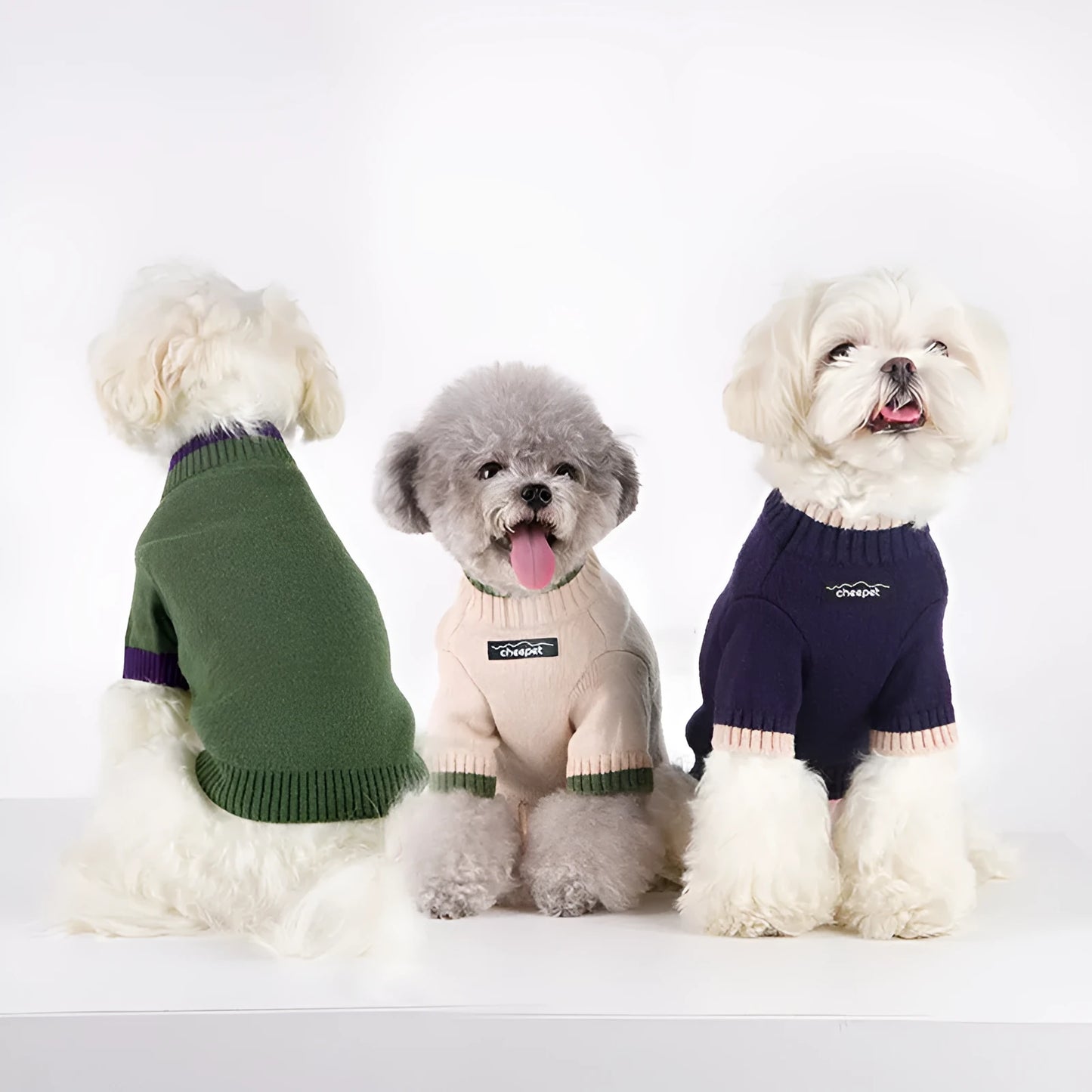 British style wool pet sweater with contrast colour two-leg design for dogs and cats
