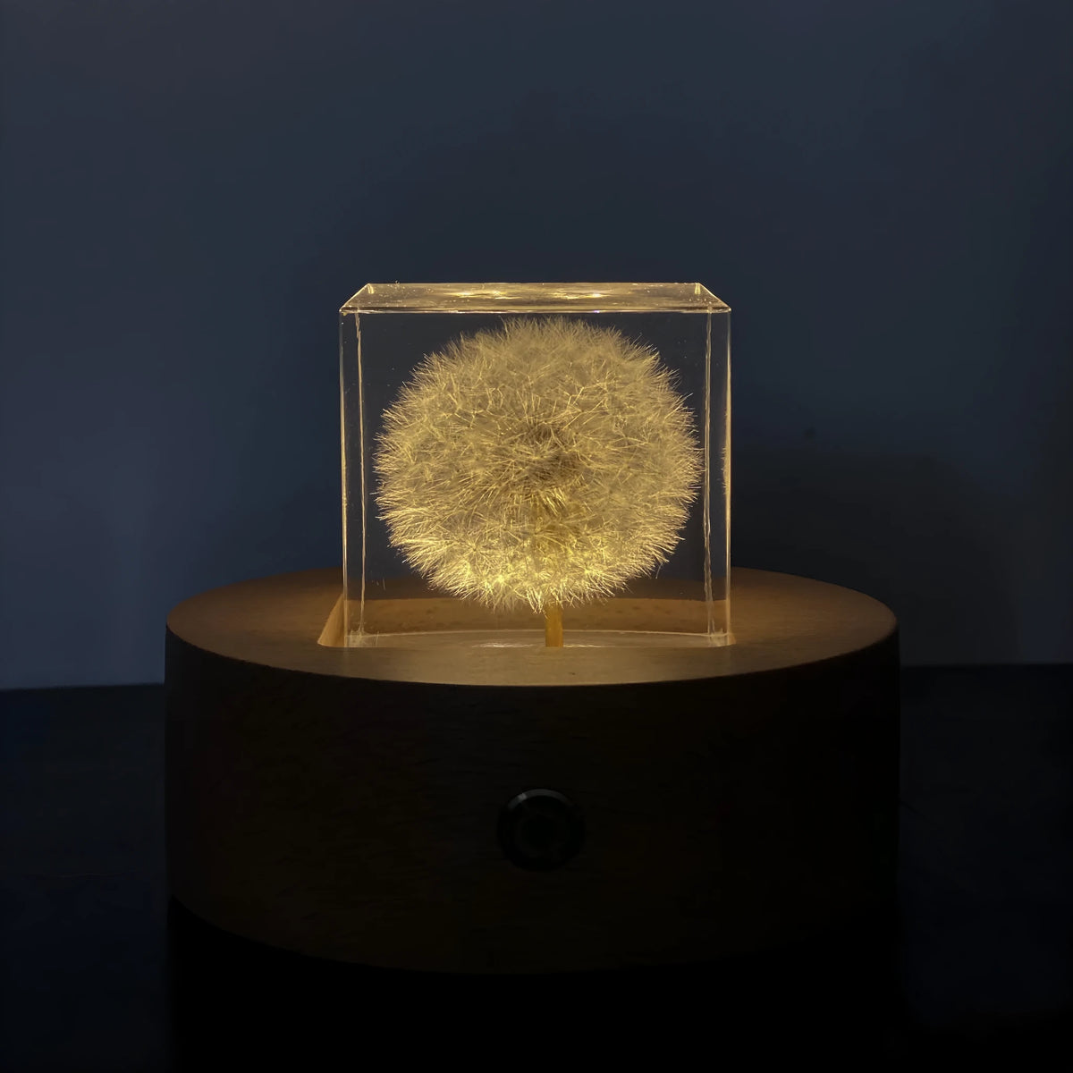 Square clear resin cube containing preserved dandelion flower with wooden box and USB base