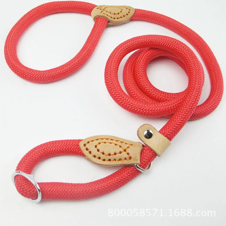 Brown nylon P chain dog leash hand holding rope showing 2.1 metre length