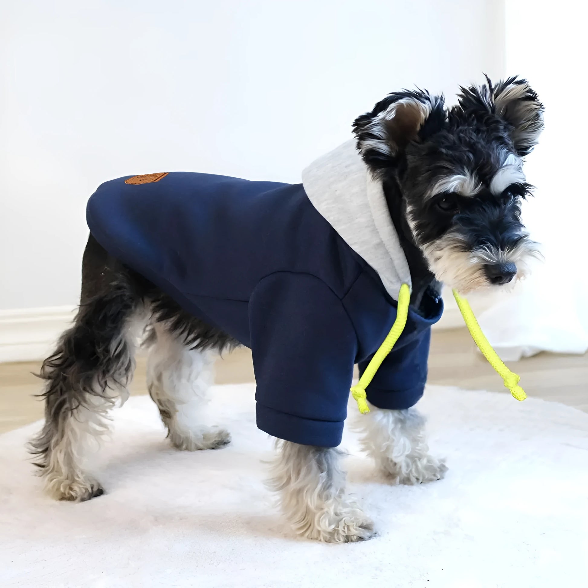 Simple dark red polyester dog hoodie with contrast colour detail, shown on a medium-sized dog.