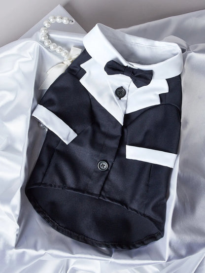 Black Chinese style four-legged dog wedding suit formal gentleman attire