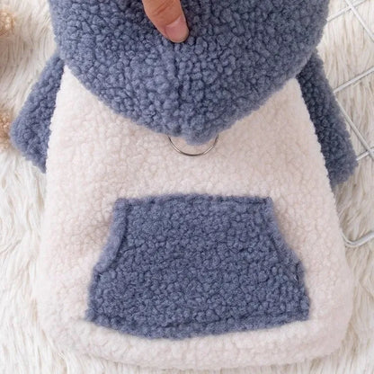 Brown hooded cotton-padded dog coat on a small dog, showing the thickened material and attached hood.