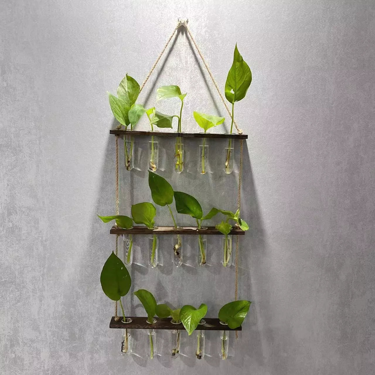 Creative Hydroponics Wall Hanging Vase with 15 test tubes in a wooden frame