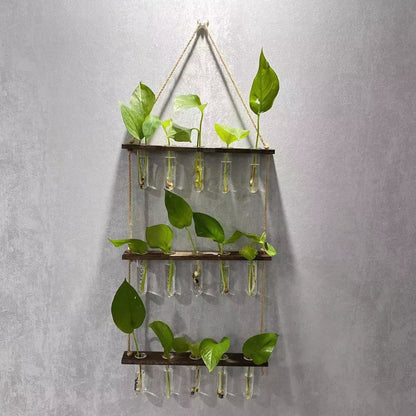Creative Hydroponics Wall Hanging Vase with 15 test tubes in a wooden frame