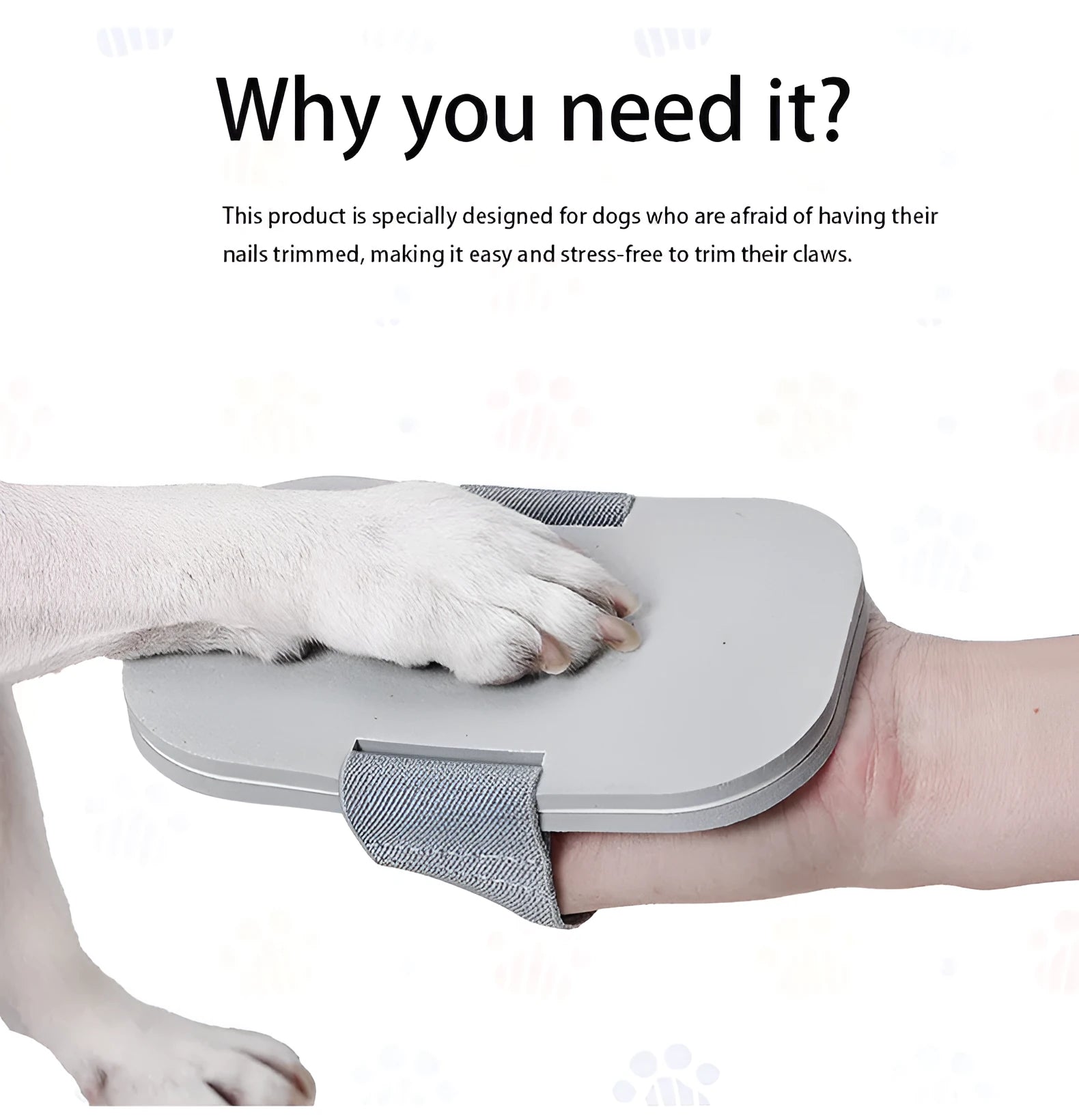 Grey pet nail grooming tool with detachable grinding board and scraper on EVA foam base