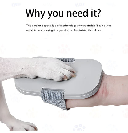 Grey pet nail grooming tool with detachable grinding board and scraper on EVA foam base