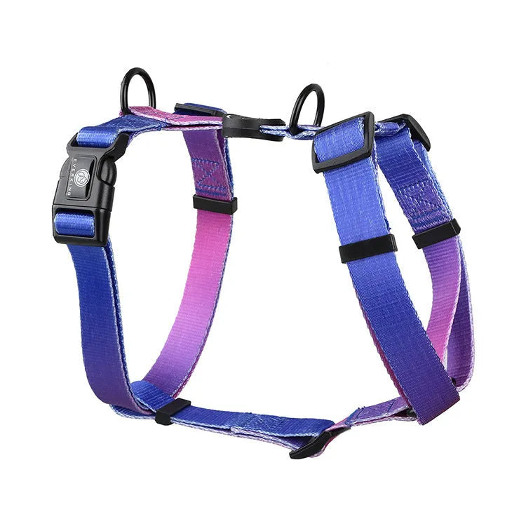 Gradient colour dog harness with chest and back straps in purple, blue, neon or green designs