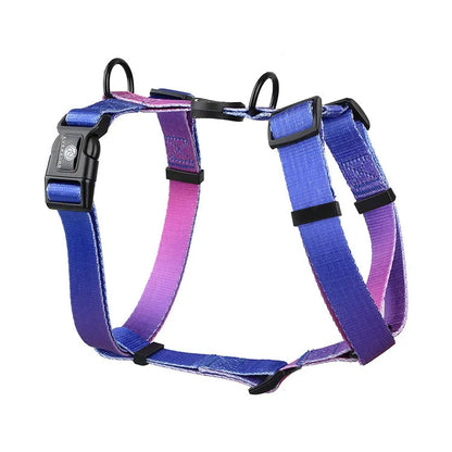 Gradient colour dog harness with chest and back straps in purple, blue, neon or green designs
