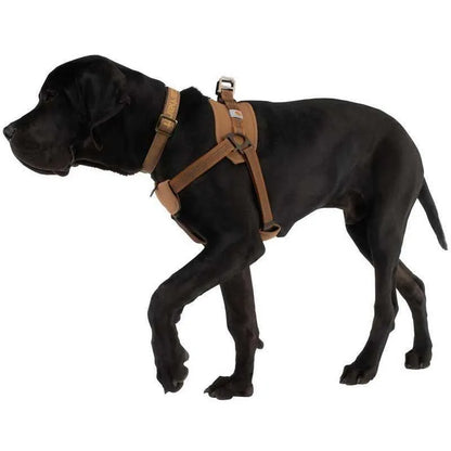 Dog chest strap training belt with reflective hand holding rope in sports-style design