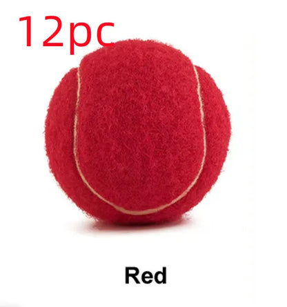 Rubber bite-resistant dog tennis ball in assorted bright colours, 6.3cm diameter.