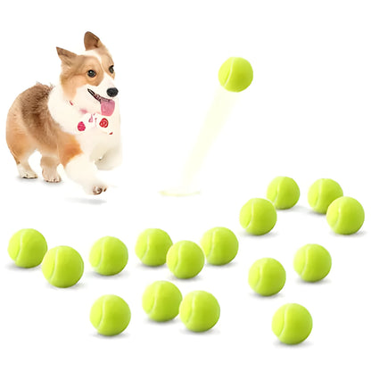 Rubber bite-resistant dog tennis ball in assorted bright colours, 6.3cm diameter.