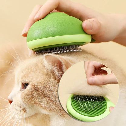 Plush avocado-shaped pet grooming brush with massage function for cats and dogs