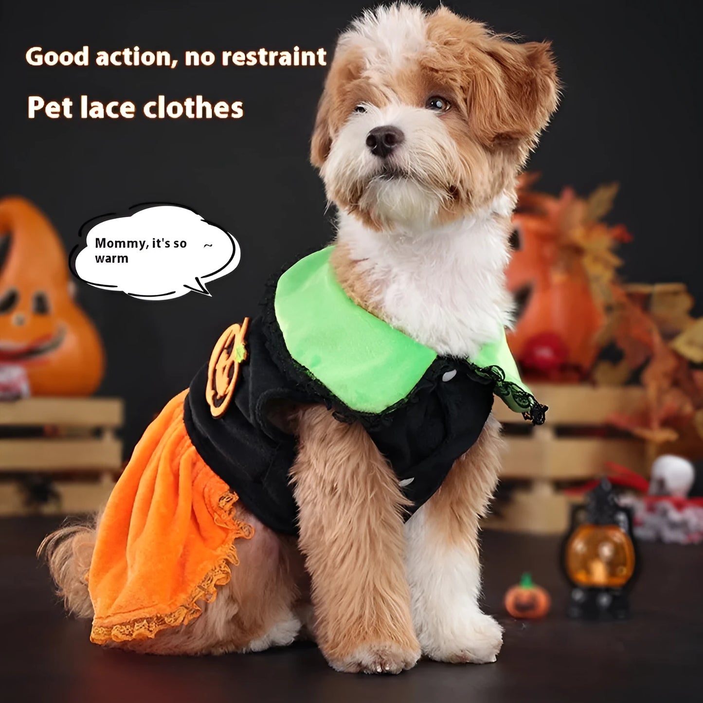 Orange Halloween pumpkin skirt costume and matching sweater for a small dog on a mannequin.