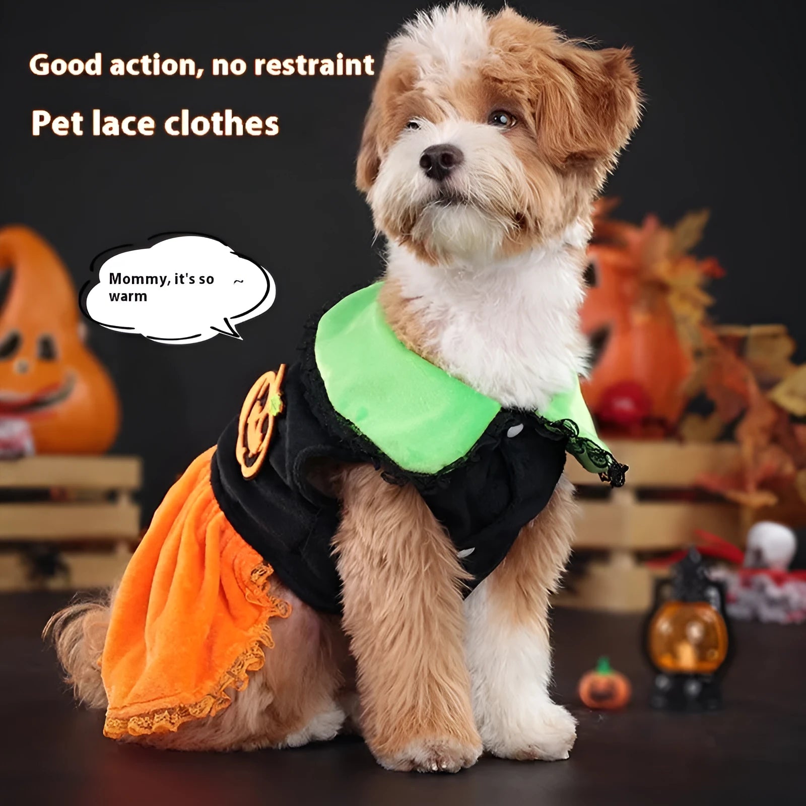 Orange Halloween pumpkin skirt costume and matching sweater for a small dog on a mannequin.