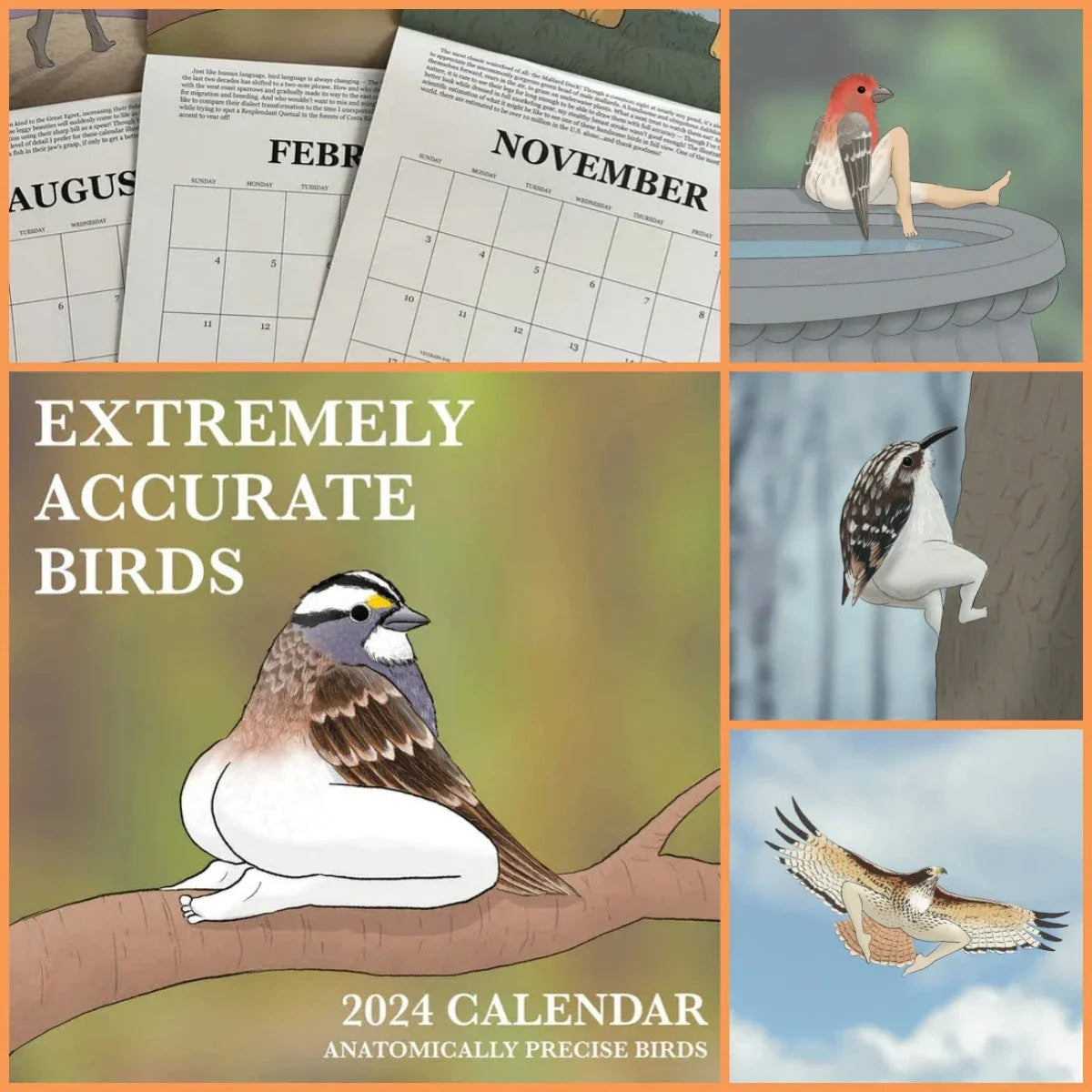 2024 Charming Bird Wall Calendar with detailed illustrations of various bird species