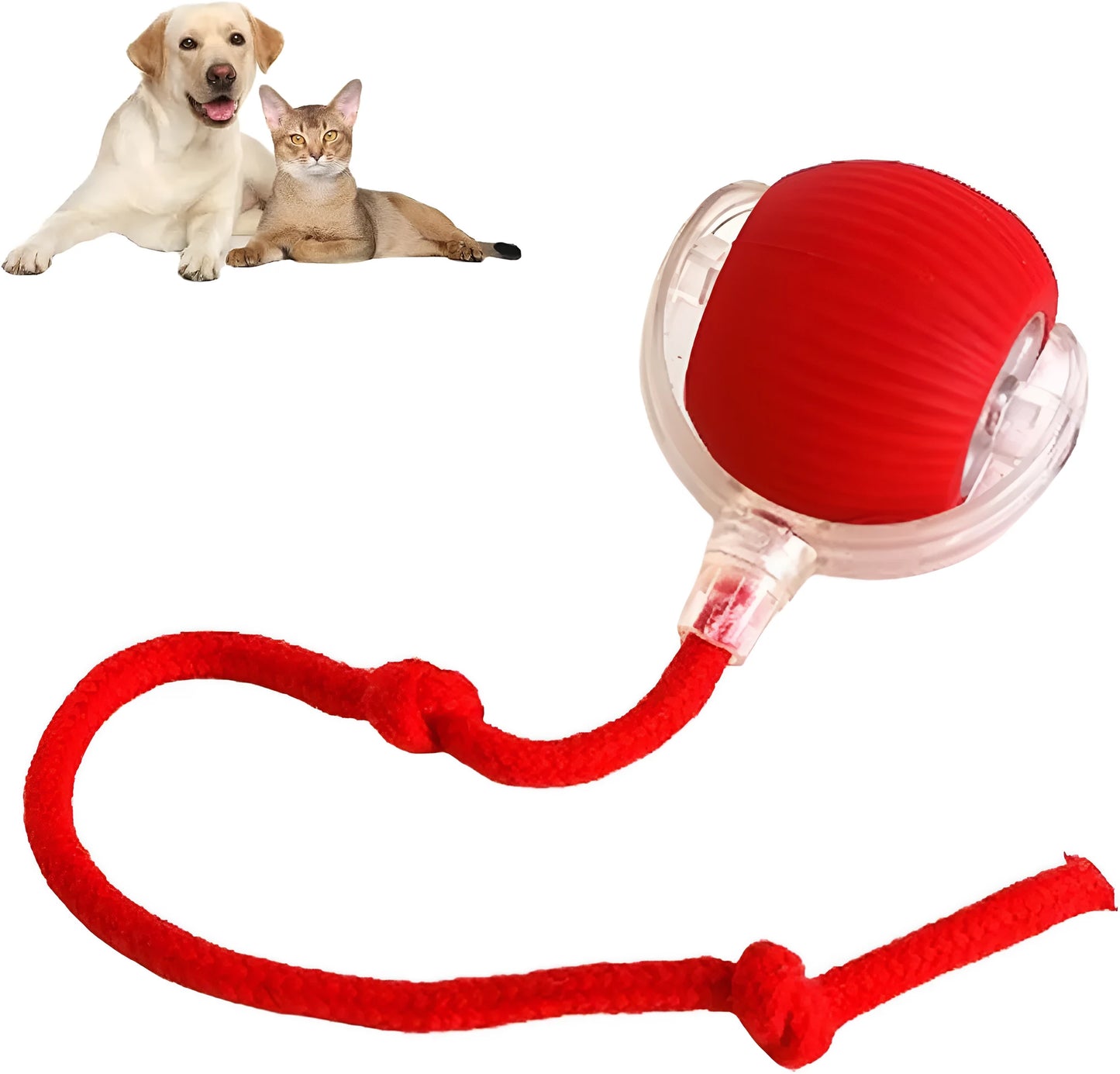 Smart automatic 360 rolling pet ball toy with rope attachment in grey, green, and red colours