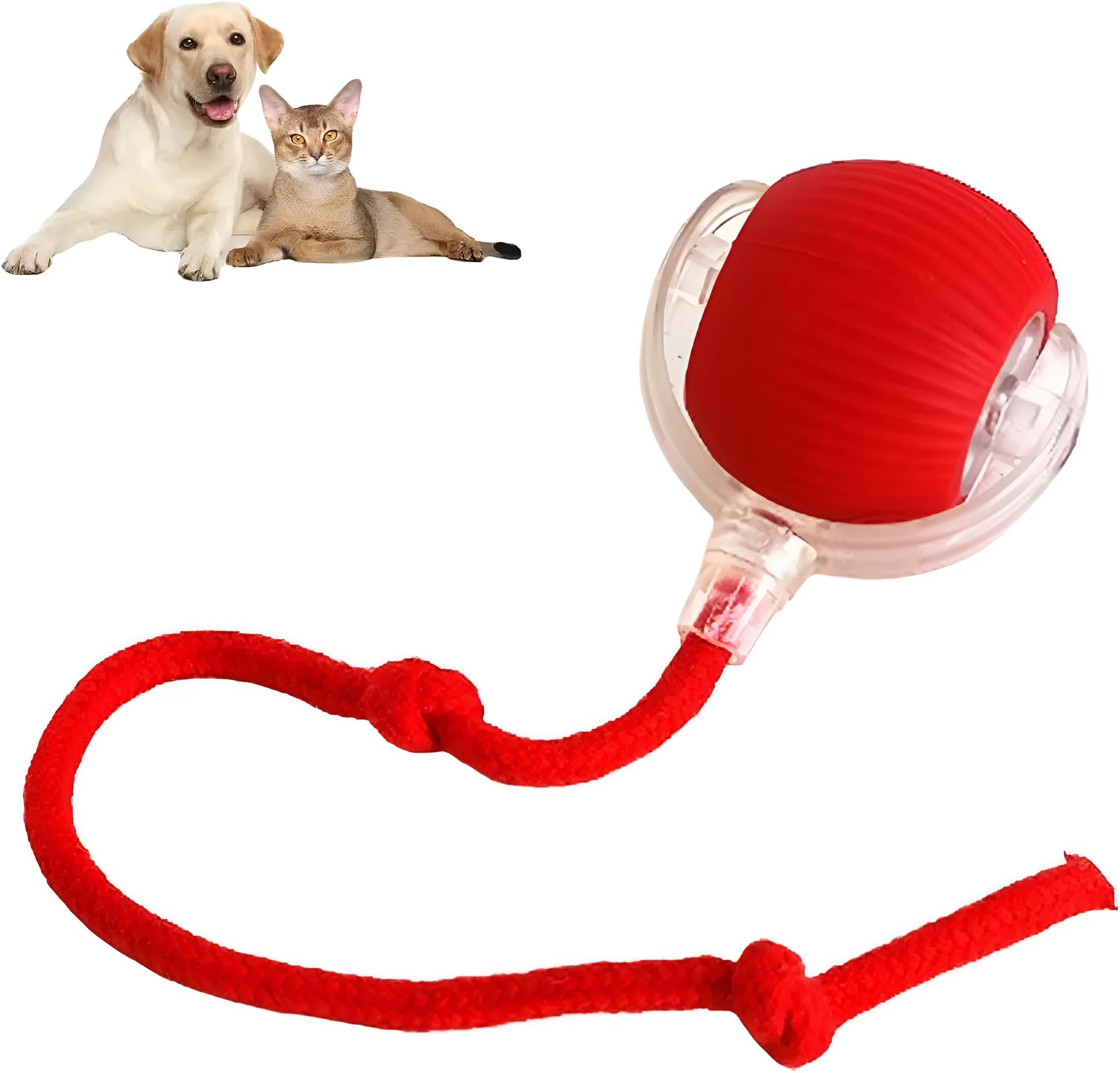 Smart automatic 360 rolling pet ball toy with rope attachment in grey, green, and red colours