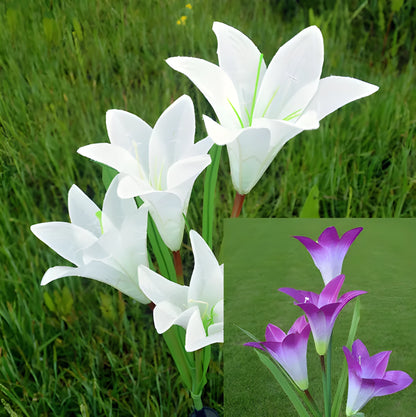 2 pack solar LED lily flower stake lights, purple and white, colour changing, IP65 waterproof, 26.5 inch garden decoration