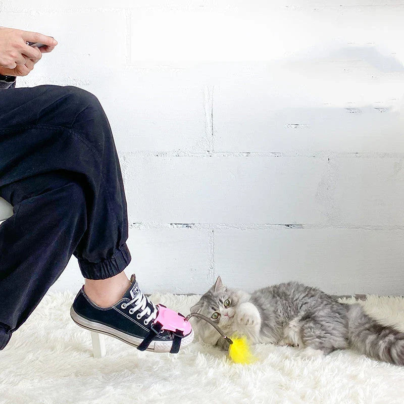 Playful cat chasing and pouncing on a feather-tipped wand toy designed to engage their natural hunting instincts