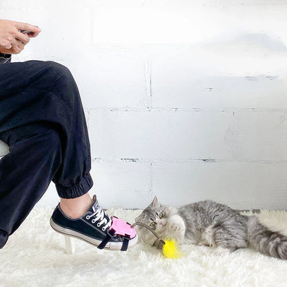 Playful cat chasing and pouncing on a feather-tipped wand toy designed to engage their natural hunting instincts
