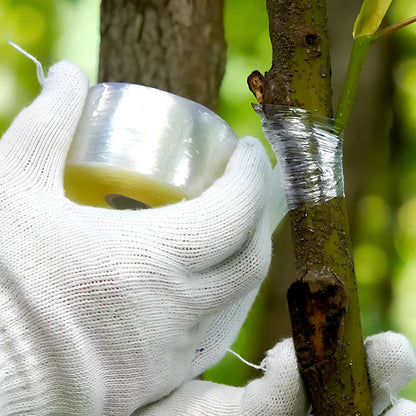 Roll of 2cm x 100m grafting tape for binding fruit tree branches, waterproof polyolefin with wax for secure, breathable seals